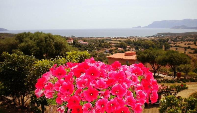 Su Paradisu Apartman Olbia Kültér fotó